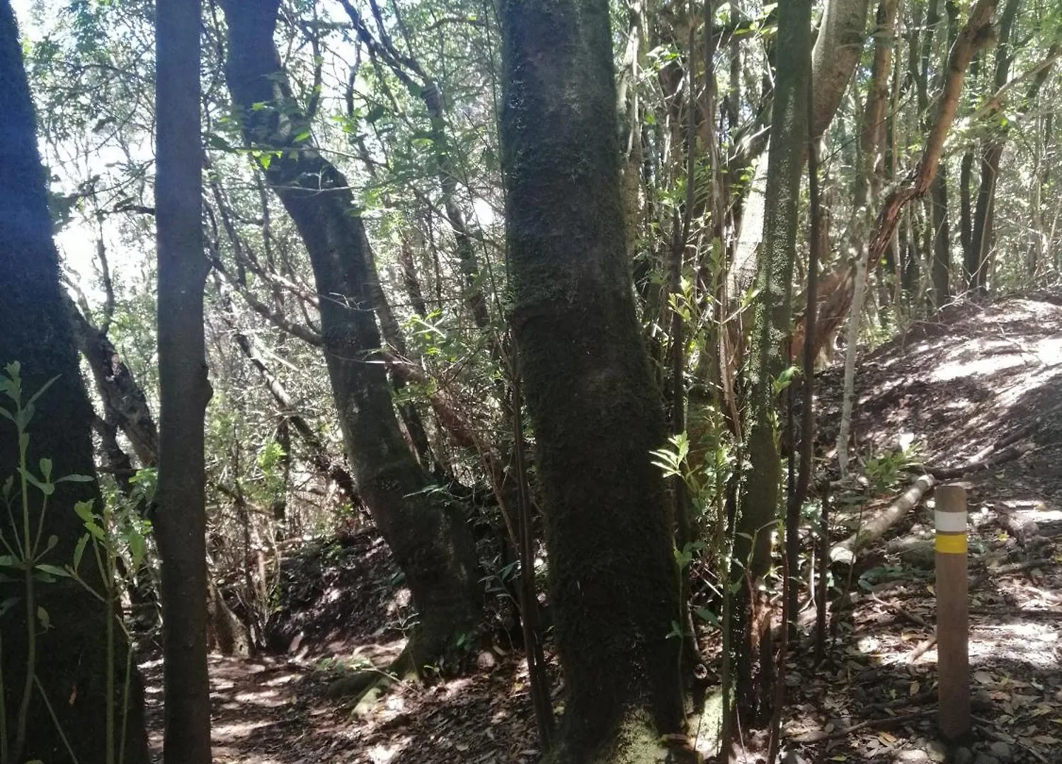 Anaga Y La Laguna A Tus Pies 圣克鲁斯-德特内里费 公寓