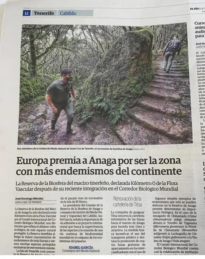 Anaga Y La Laguna A Tus Pies サンタクルスデテネリフェ アパート